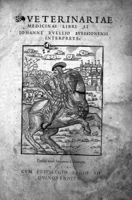 RUEL, Jean (Ruelle; Ioannes Ruellius) (1474 – 1537)