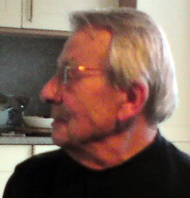 MEULENBELD, Gerrit Jan (1928 – 2017)
