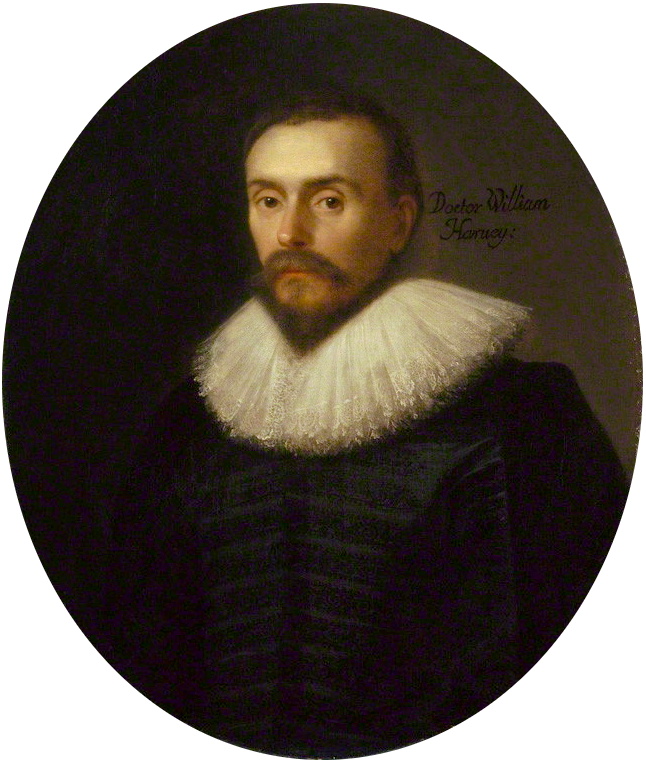 HARVEY, William (1578 – 1657)