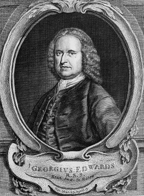 EDWARDS, George (1693 – 1773)