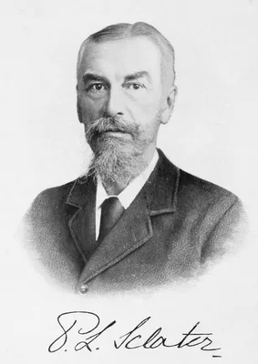 SCLATER, Philip Lutley (1829 – 1913)