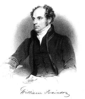 SWAINSON, William John (1789 – 1855)