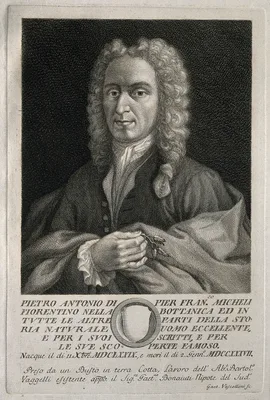 MICHELI, Pier Antonio (1679 – 1737)