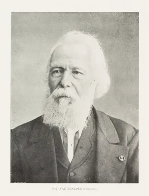 BENEDEN, Pierre-Joseph van (1809 – 1894)