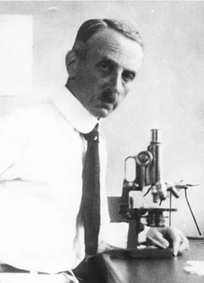 LOEB, Leo (1869 – 1959)