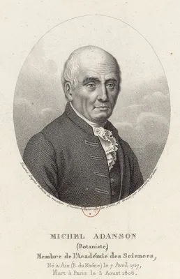ADANSON, Michel (1727 – 1806)
