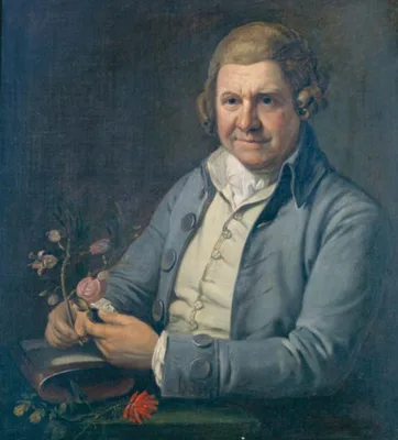 AITON, William (1731 – 1793)