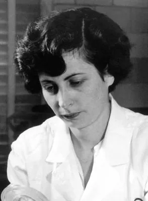 BRAUNWALD, Nina Starr (1928 – 1992)