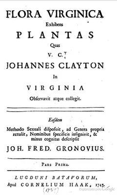 CLAYTON, John (1694 – 1773)