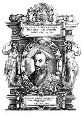 SALVIANI, Hippolito (1514 – 1572)