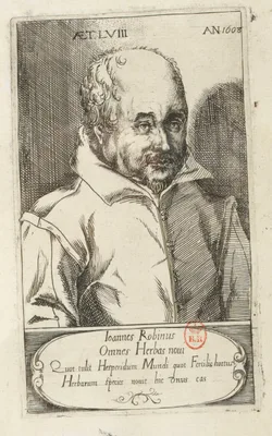 ROBIN, Jean (1550 – 1629)