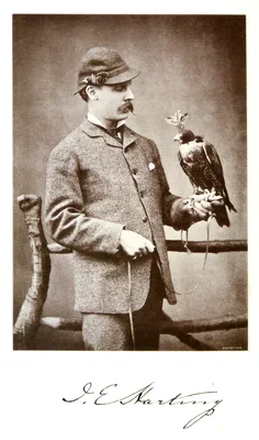 HARTING, James Edmund (1841 – 1928)