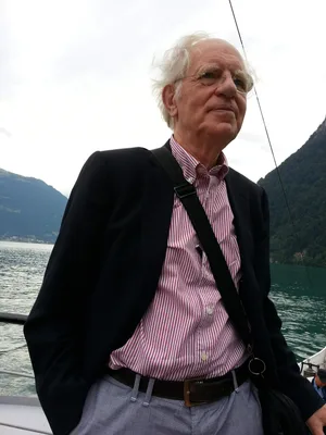 LEVELT, Willem Johannes Maria (1938 – )