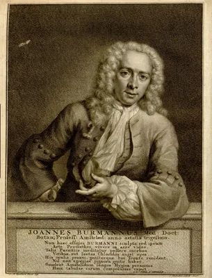 BURMAN, Johannes (1707 – 1780)