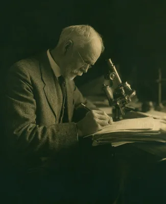 WILSON, Edmund Beecher (1856 – 1939)