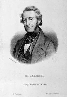 CALMEIL, Louis-Florentin (1798 – 1895)