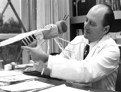 BENZER, Seymour (1921 – 2007)