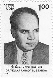 SUBBAROW, Yellapragada (1895 – 1948)