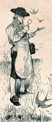 BARTRAM, John (1699 – 1777)