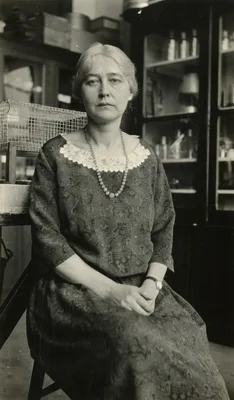 MENTEN, Maud Lenore (1879 – 1960)