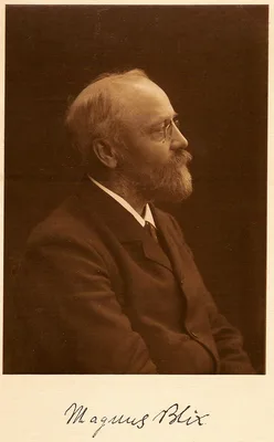 BLIX, Magnus Gustav (1849 – 1904)