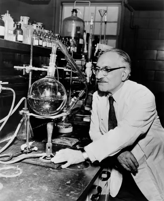 WAKSMAN, Selman Abraham (1888 – 1973)
