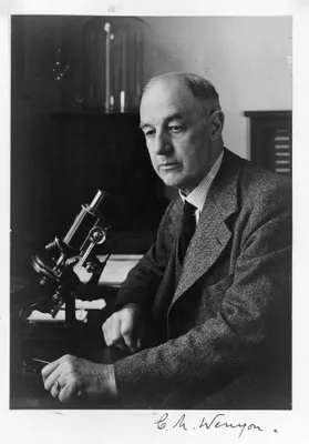 WENYON, Charles Morley (1878 – 1948)