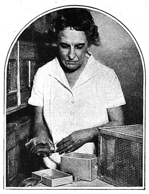 SLYE, Maud (1879 – 1954)