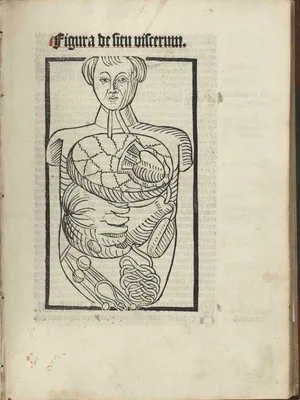 HUNDT, Magnus (1449 – 1519)