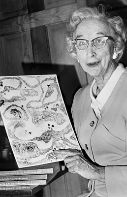STEWART, Sarah Elizabeth (1905 – 1976)