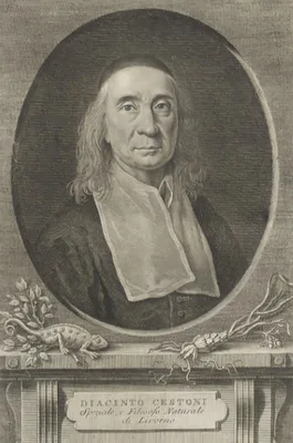 CESTONI, Giacinto (Diacinto) (1637 – 1718)