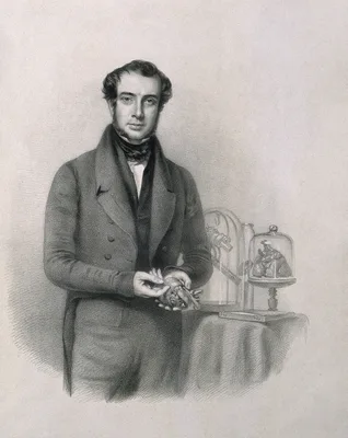 LANE, Samuel Armstrong (1802 – 1892)