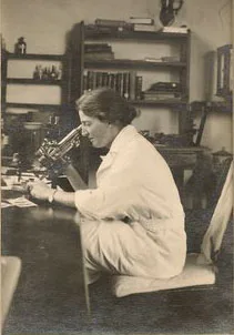 WILLS, Lucy (1888 – 1964)