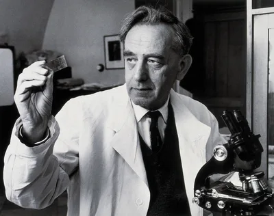 ADLER, Saul (1895 – 1956)