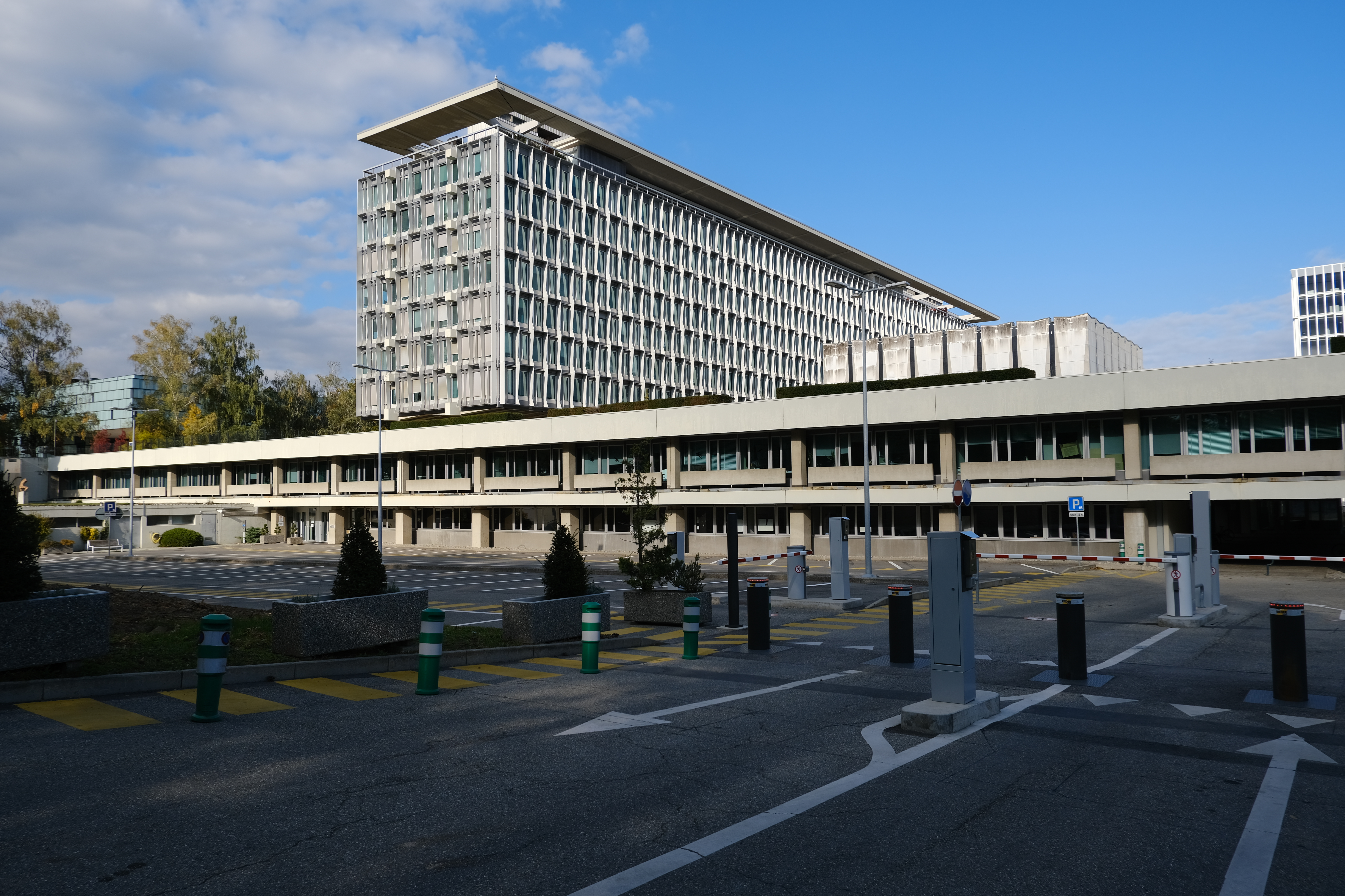 WORLD HEALTH ORGANIZATION