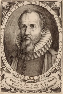 ASELLI, Gaspare (1581 – 1626)