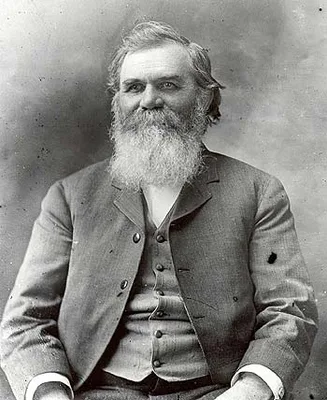 PALMER, Daniel David (1845 – 1913)